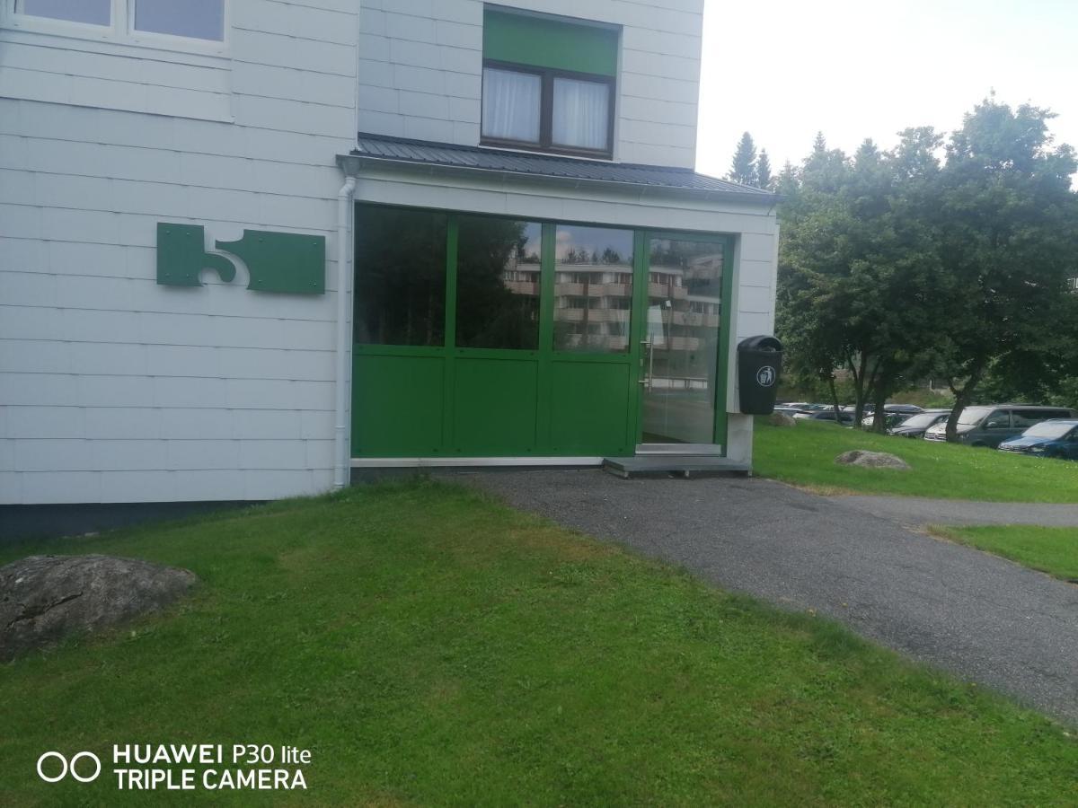 King Apartament 1 Mit Netflix Apartment Sankt Englmar Exterior photo